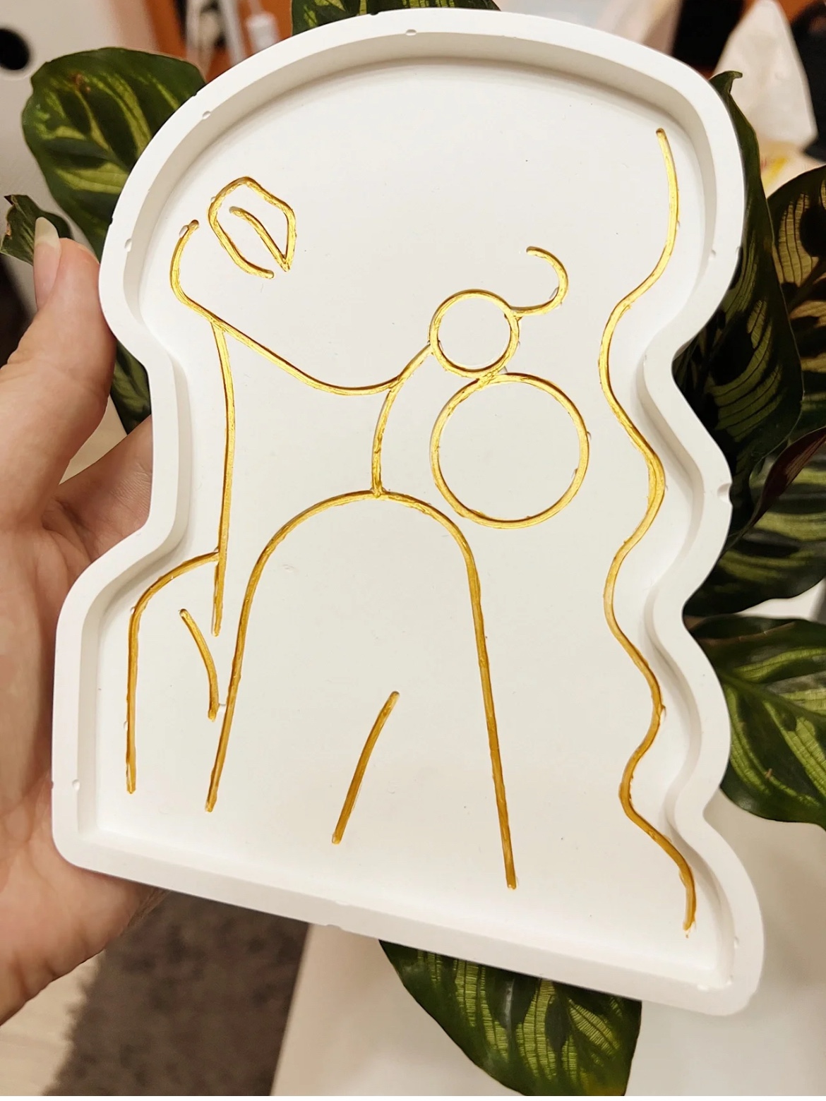 Bandeja de gesso molde de sili - Body Jewelry Storage avaliação e preço
